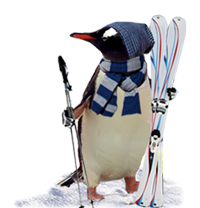 penguin-offers